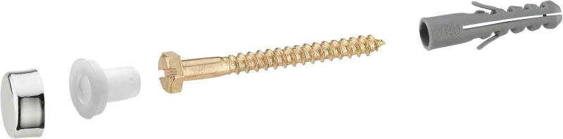Fixations WC tirefonds 6x60 avec chevilles 8x40