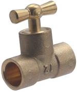 TÉ PURGEUR DROIT (130 P)